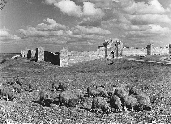 rabat-chellah-1952-1 CREATOR: gd-jpeg v1.0 (using IJG JPEG v62), quality = 75