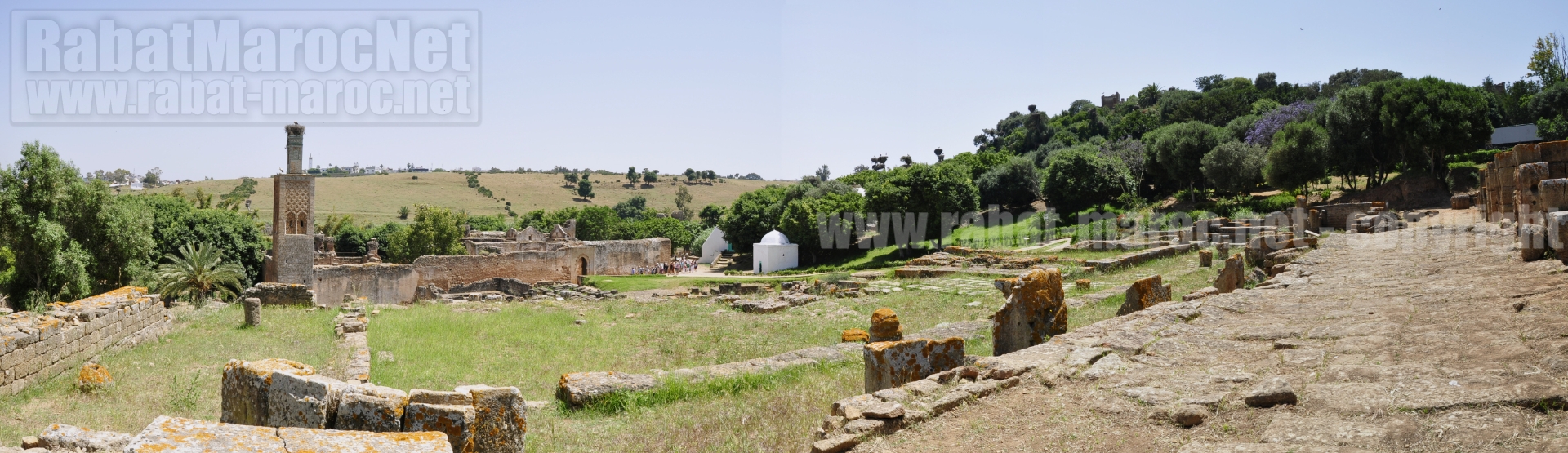 chellah minaret depuis voie romaine