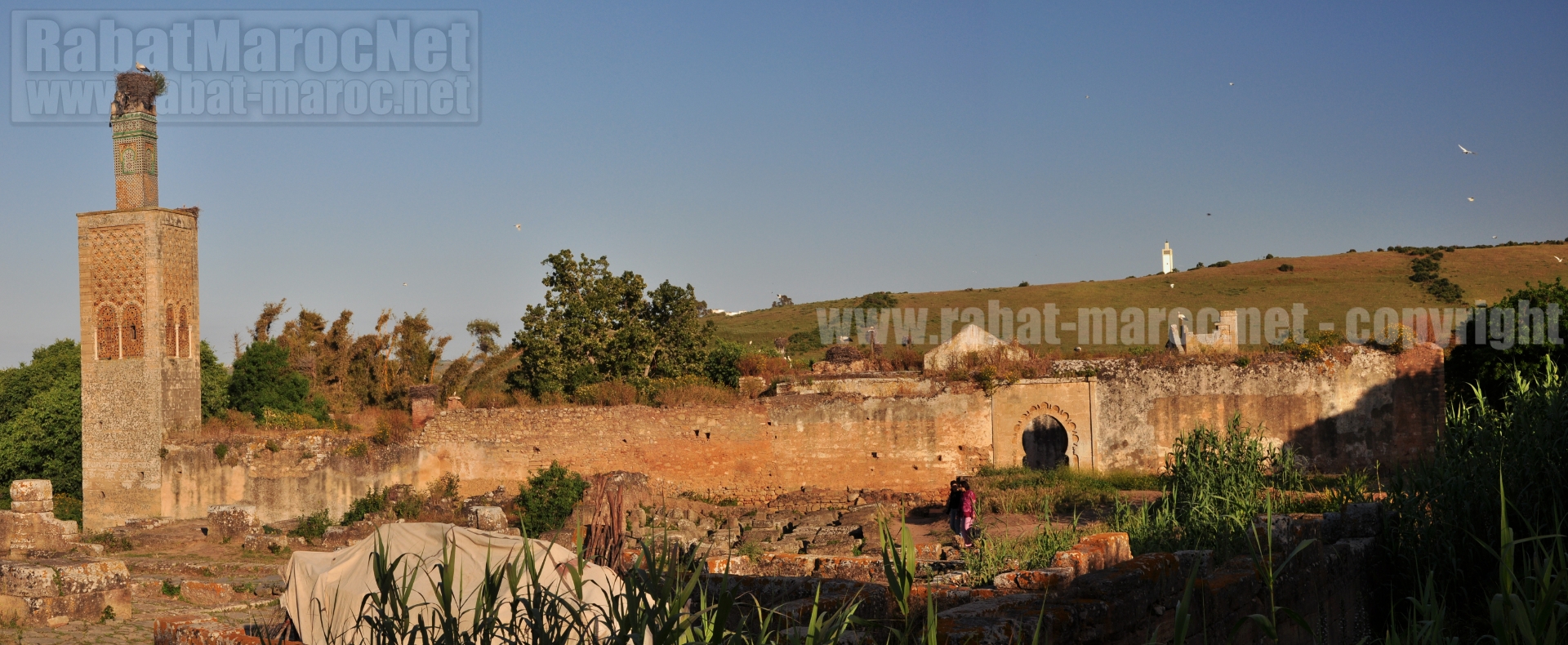 chellah minaret ruines soir