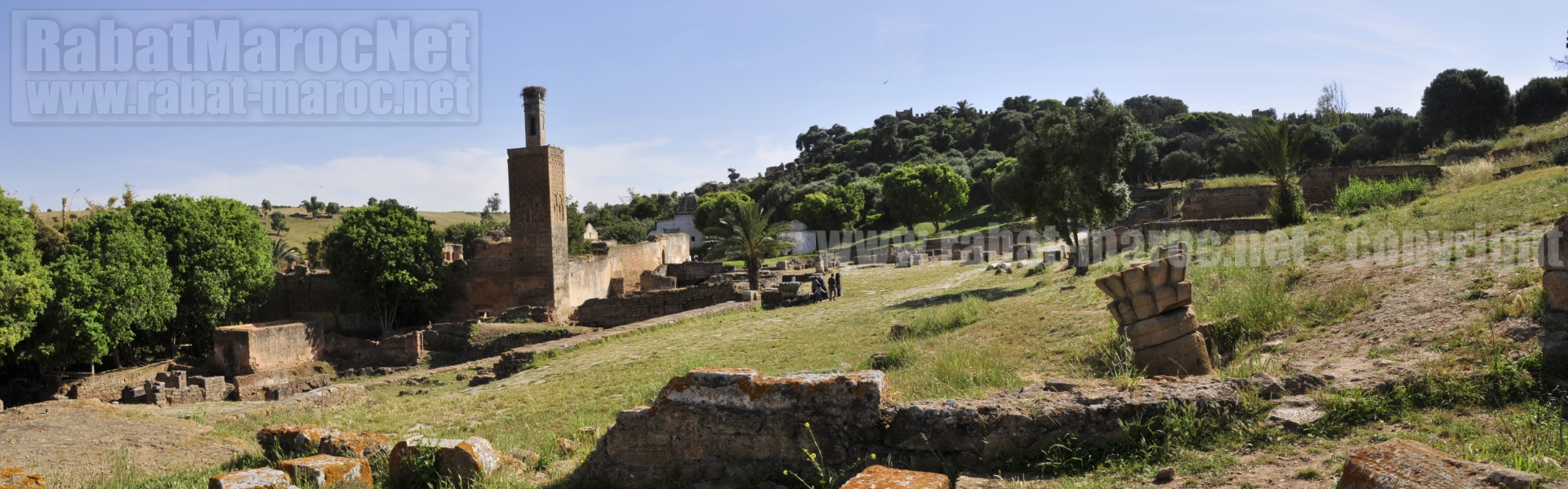 chellah panorama face aux koubbas