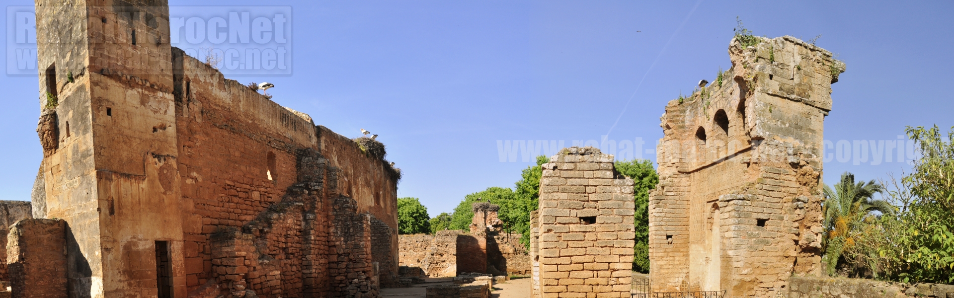 chellah tombe abul al hassan cigognes plan large