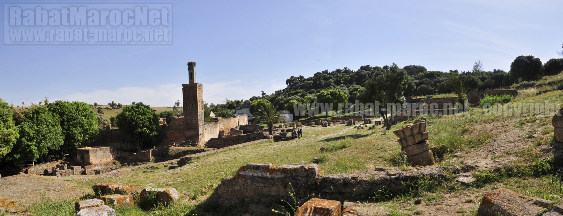 chellah-minaret-ruines-kouba-chemin-2
