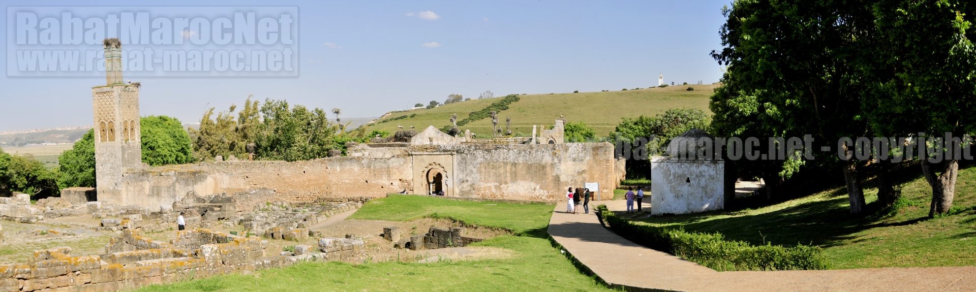 chellah-minaret-ruines-kouba-chemin