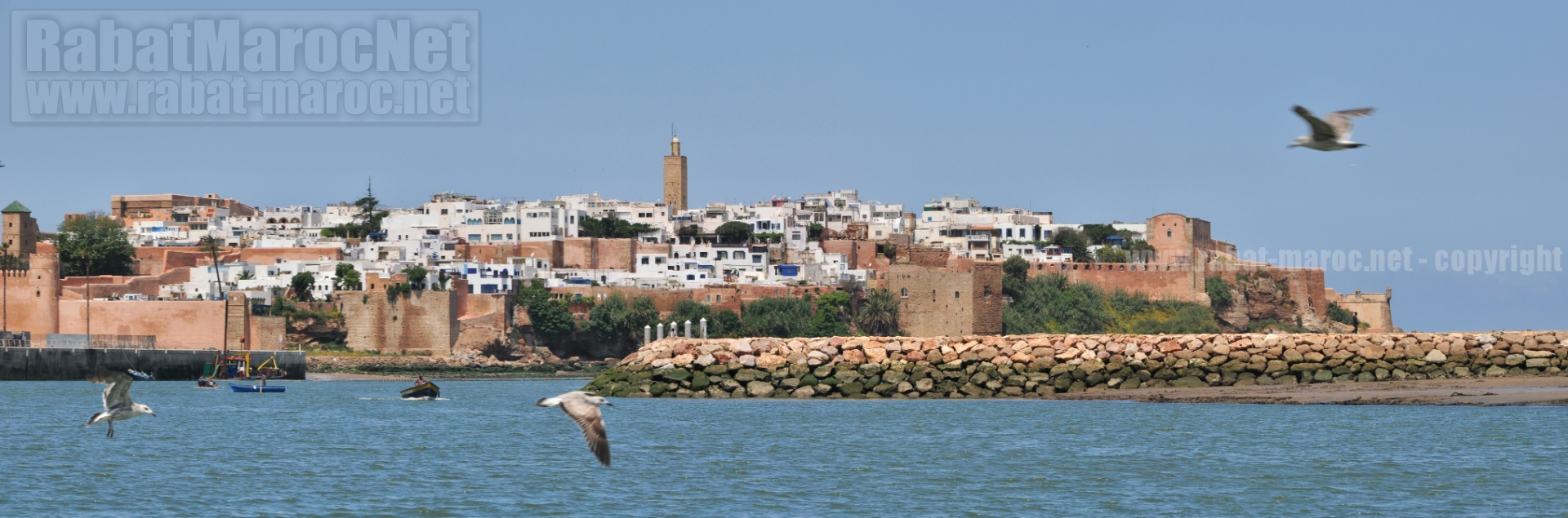 oudayas jetee mouette bateaux peche