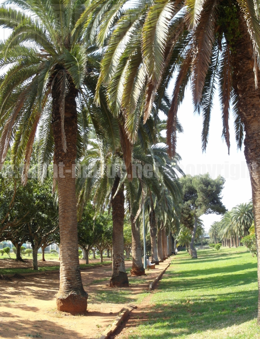 Panorama jardins BNRM