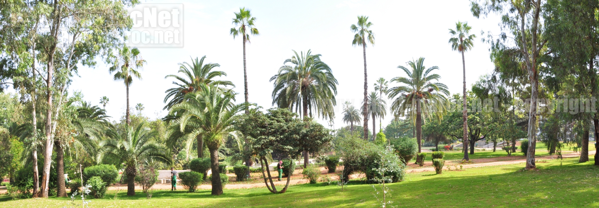 jardin d essais allee centrale