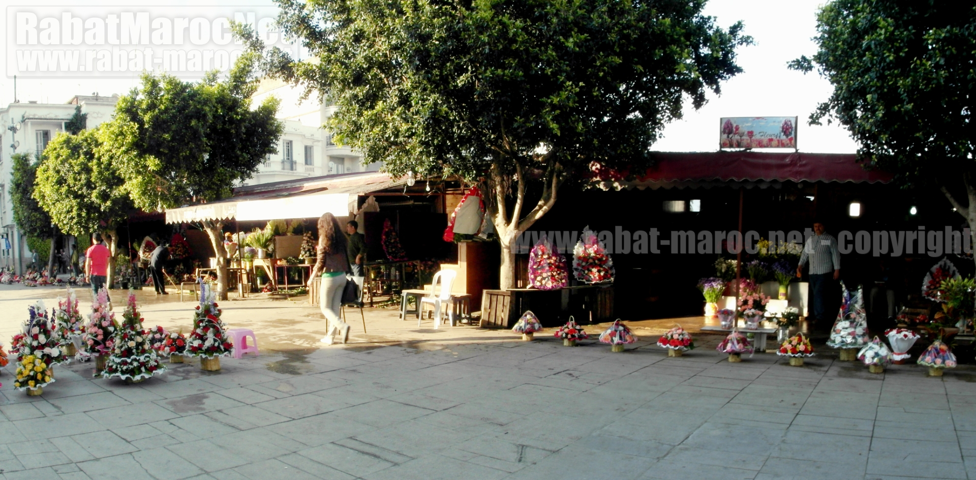 place-pietri-marche-aux-fleurs