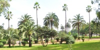 Jardin d'essais de l'Agdal.