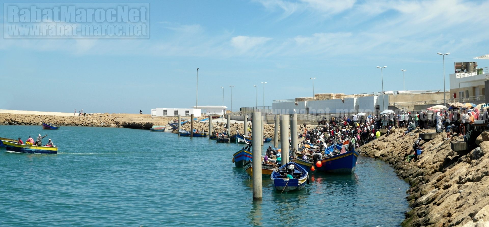 arrivee-pecheurs-port-sale-2