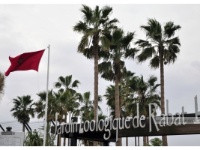 Le jardin zoologique national de Rabat